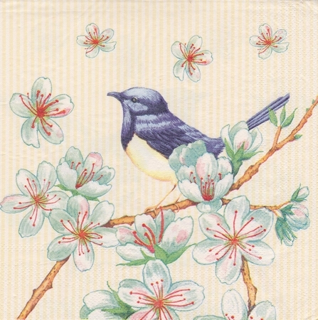 19