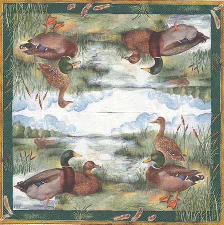 23