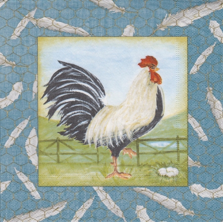 26