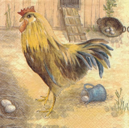 19
