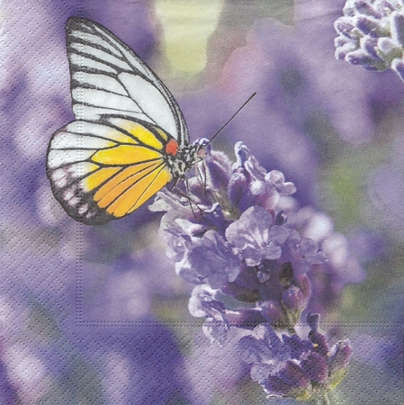 53