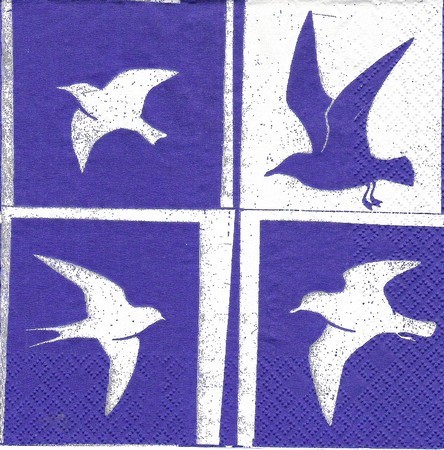 14 (2)