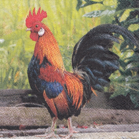 34